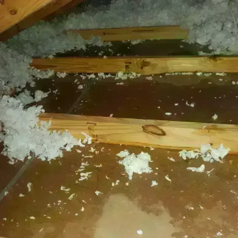 Attic Water Damage in Tell City, IN