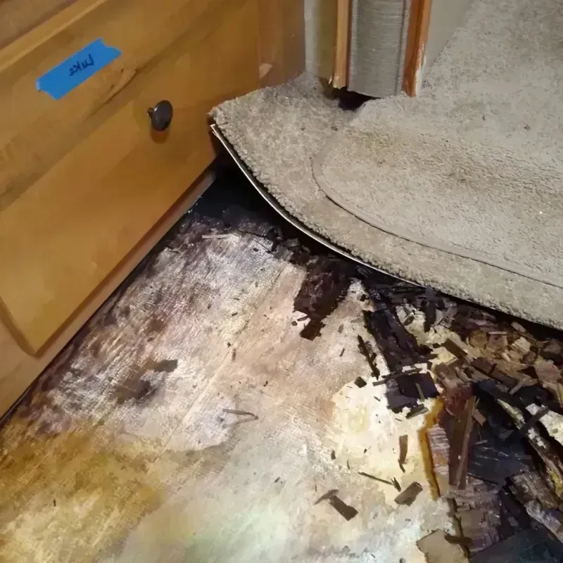 Best Wood Floor Water Damage Service in Tell City, IN